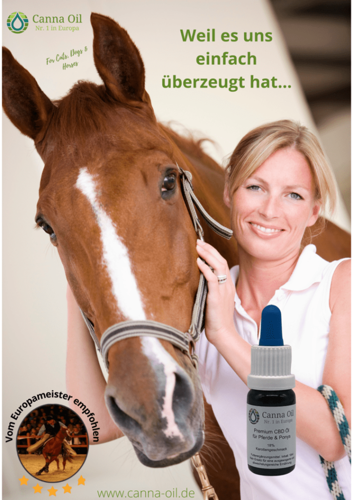 Hanföl für Ponys und Pferde mit Karottengeschmack – CBD Öl für dein Pferd kaufen & eine optimale Basis für ein gesundes Pferdeleben schaffen